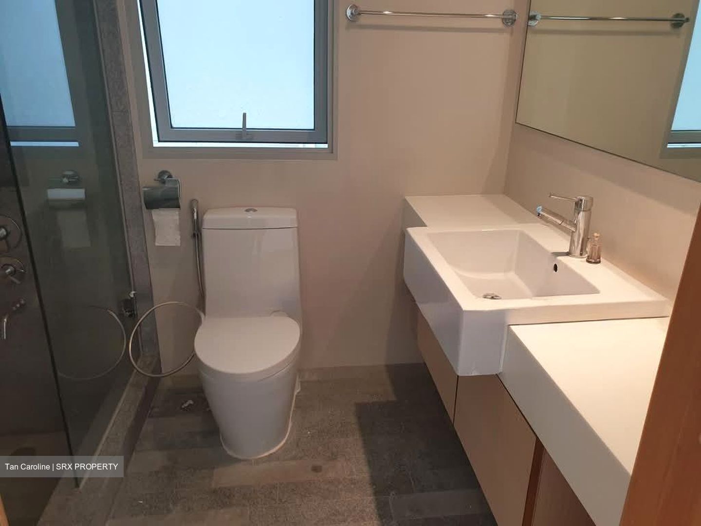 8 @ Mount Sophia (D9), Condominium #561497631